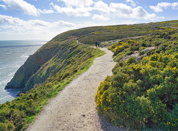 Ireland's Eye Ferries