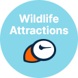 Wildlife button