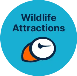 Wildlife icon