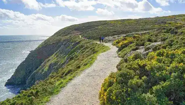 Winding pathway on Howth Head Dublin, with cliffs, sea and walkers in the distance.
