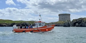 Puffin watching Dublin ferry passing Martello tower on Ireland's Eye.