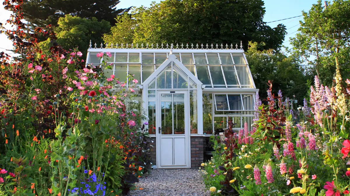 Greenhouse in Ardan Garden on Howth hil